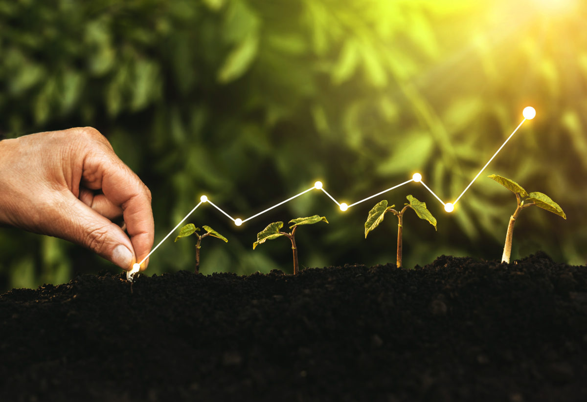 Seriál „Jak na udržitelnost ve firmách“: Díl 2. – Benefity a rizika ESG